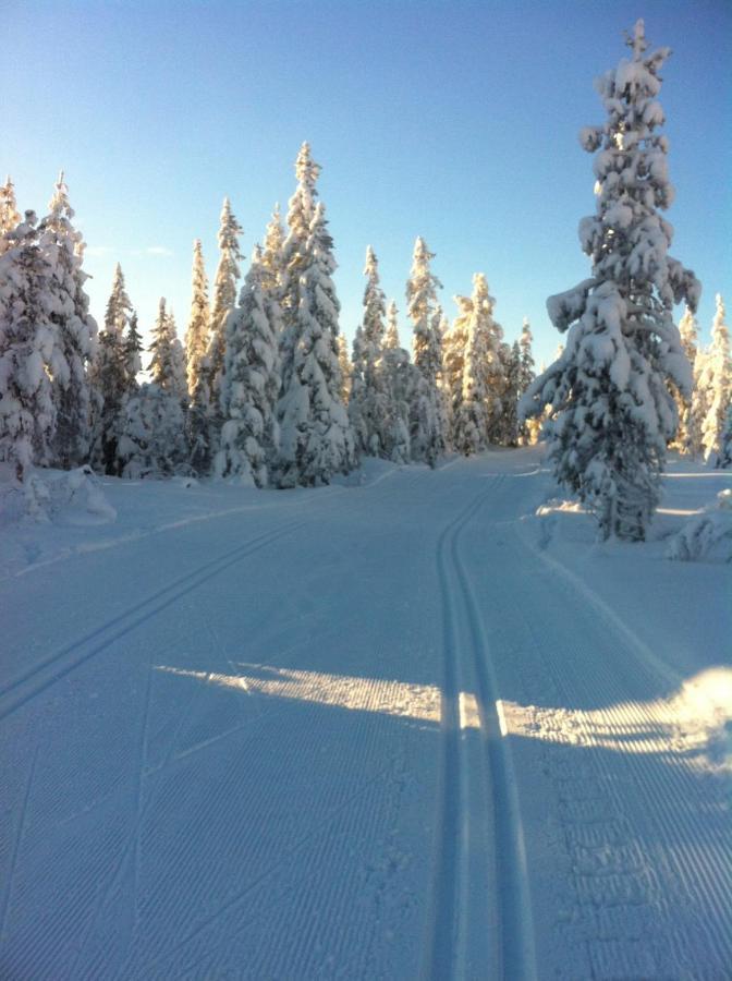 Koselig Hytte - Trysilfjellet Naert Til Sykkel- Og Turstier - 4 Soverom, 2 Bad, Badstue, Fiber Bredband Og Elbillader Exterior photo