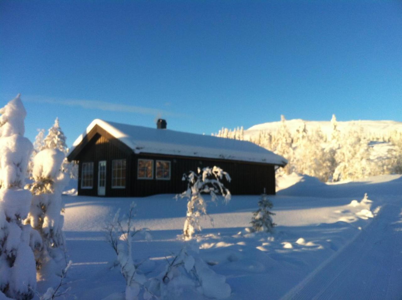 Koselig Hytte - Trysilfjellet Naert Til Sykkel- Og Turstier - 4 Soverom, 2 Bad, Badstue, Fiber Bredband Og Elbillader Exterior photo