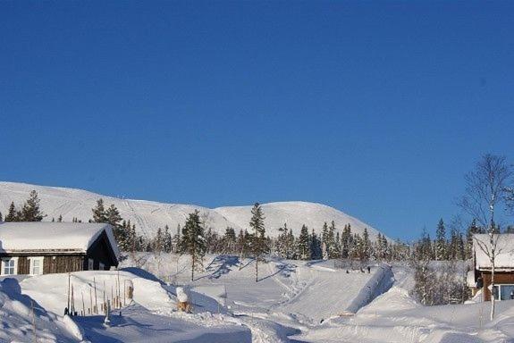 Koselig Hytte - Trysilfjellet Naert Til Sykkel- Og Turstier - 4 Soverom, 2 Bad, Badstue, Fiber Bredband Og Elbillader Exterior photo