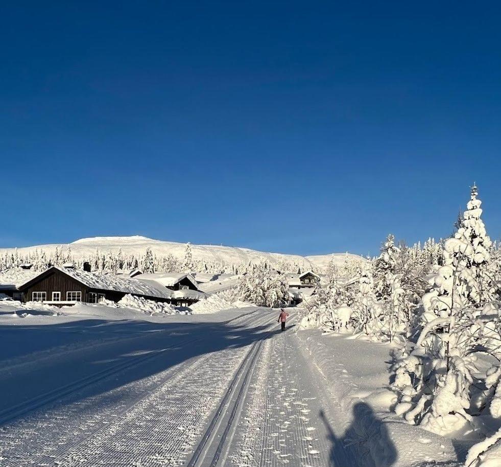 Koselig Hytte - Trysilfjellet Naert Til Sykkel- Og Turstier - 4 Soverom, 2 Bad, Badstue, Fiber Bredband Og Elbillader Exterior photo